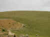 Freshly Seeded Imperial Gold Maca Fields 14,000 Feet Above Sea Level On The Andean Mountain Top